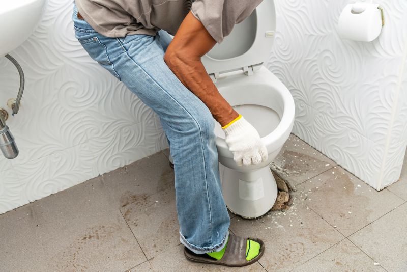 Toilet Installation