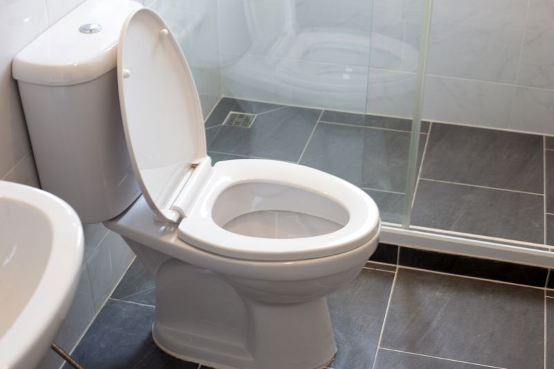 Modern Toilet Designs